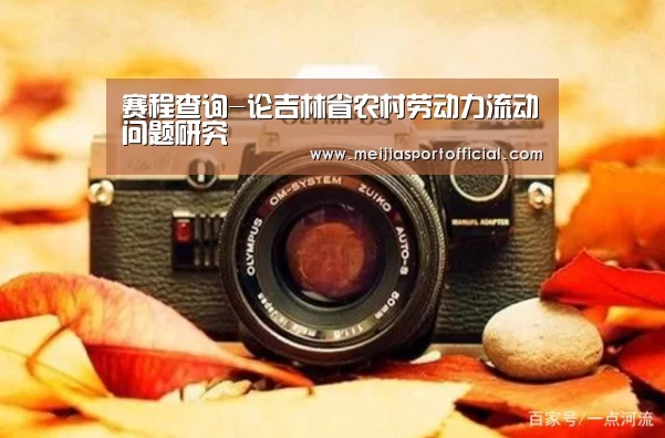 2026美加墨