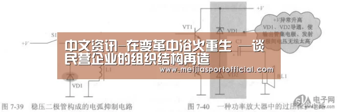 中文资讯-在变革中浴火重生 —谈民营企业的组织结构再造(图3) 2026美加墨