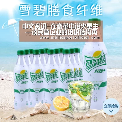 中文资讯-在变革中浴火重生 —谈民营企业的组织结构再造(图2) 中文资讯