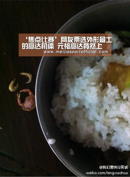 ‘焦点比赛’网友票选外形最土的高达机体 元祖高达竟然上榜(图3) 中文资讯